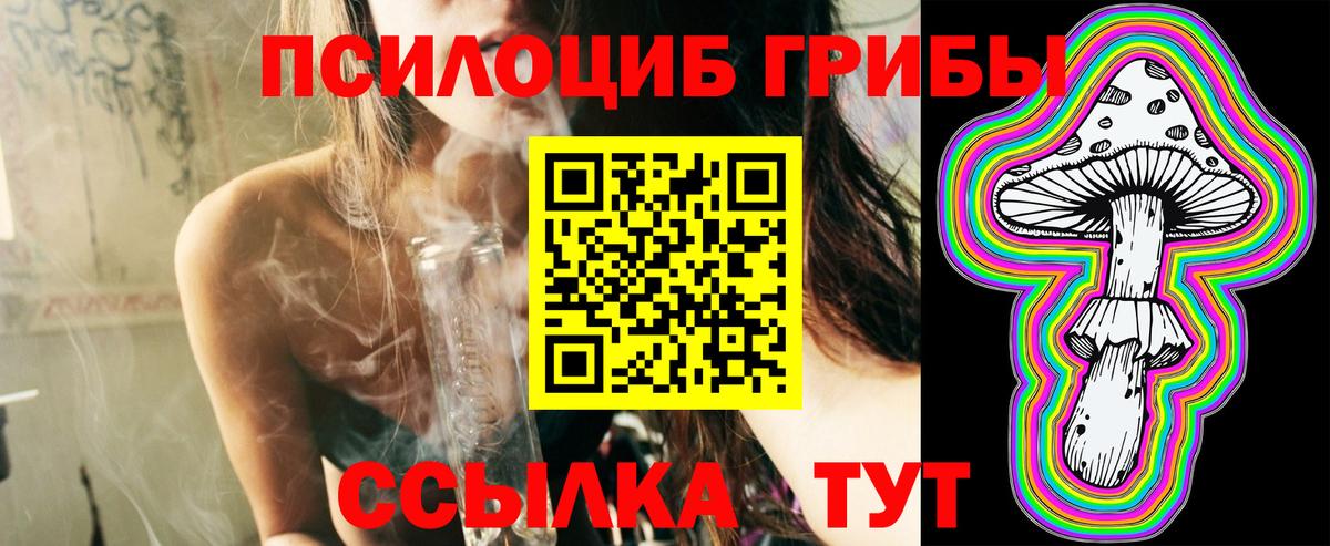 Псилоцибиновые грибы GOLDEN TEACHER Искитим