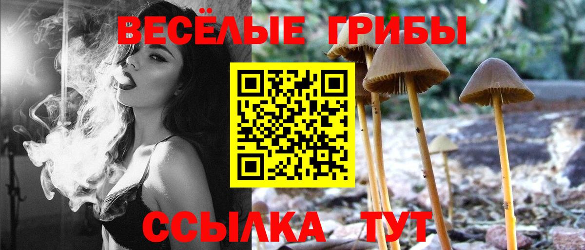 Искитим  Псилоцибиновые грибы GOLDEN TEACHER  Вход с VPN 